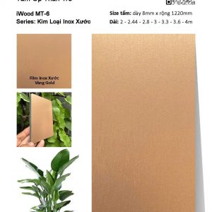 Tấm Than Tre Film Inox Xước MT-6