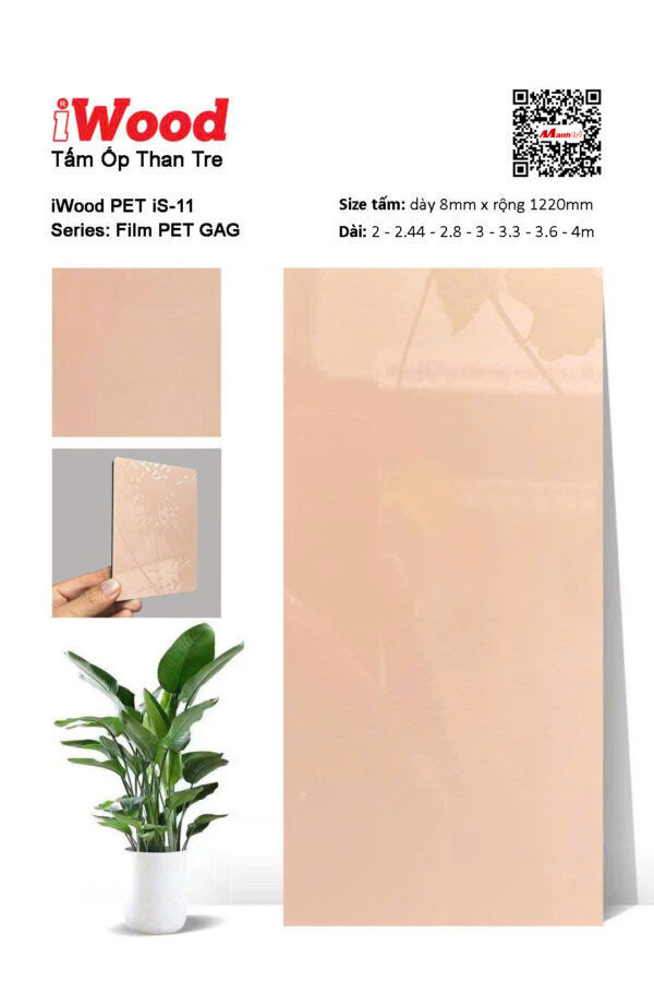 Tấm Than Tre Film Pet iS-11