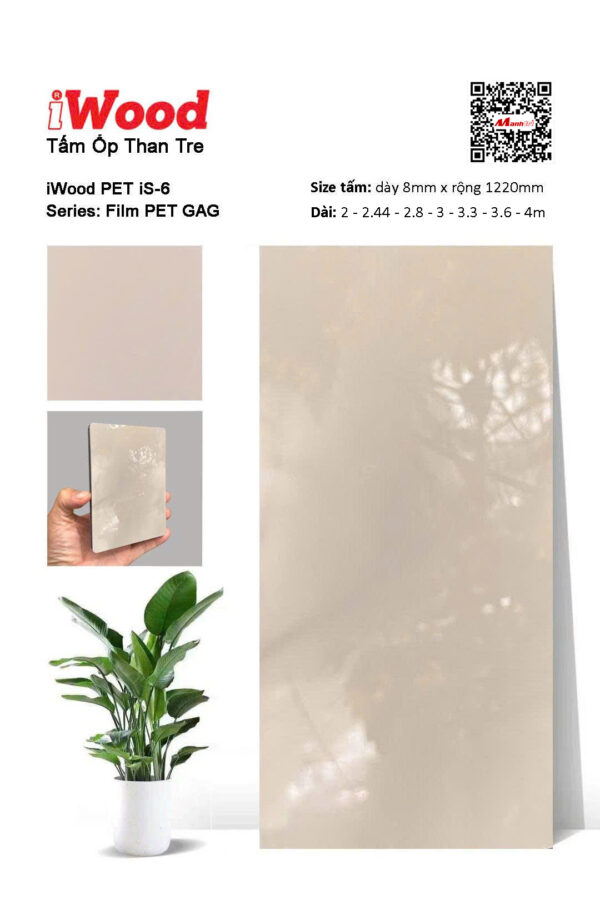 Tấm Than Tre Film Pet iS-6