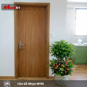Cửa gỗ nhựa MT05