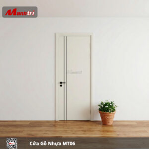Cửa gỗ nhựa MT06