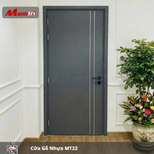 Cửa gỗ nhựa MT22