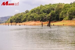 Sàn gỗ Căm Xe bền bỉ đẹp mắt 2026