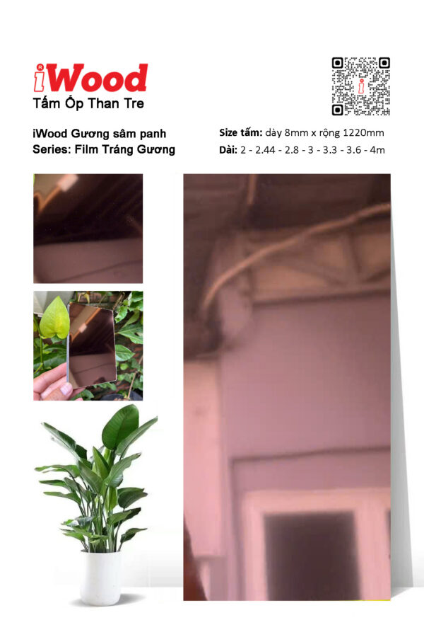 Tấm ốp than tre iWood Film tráng gương sâm panh