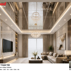Tấm Than Tre Film Tráng Gương